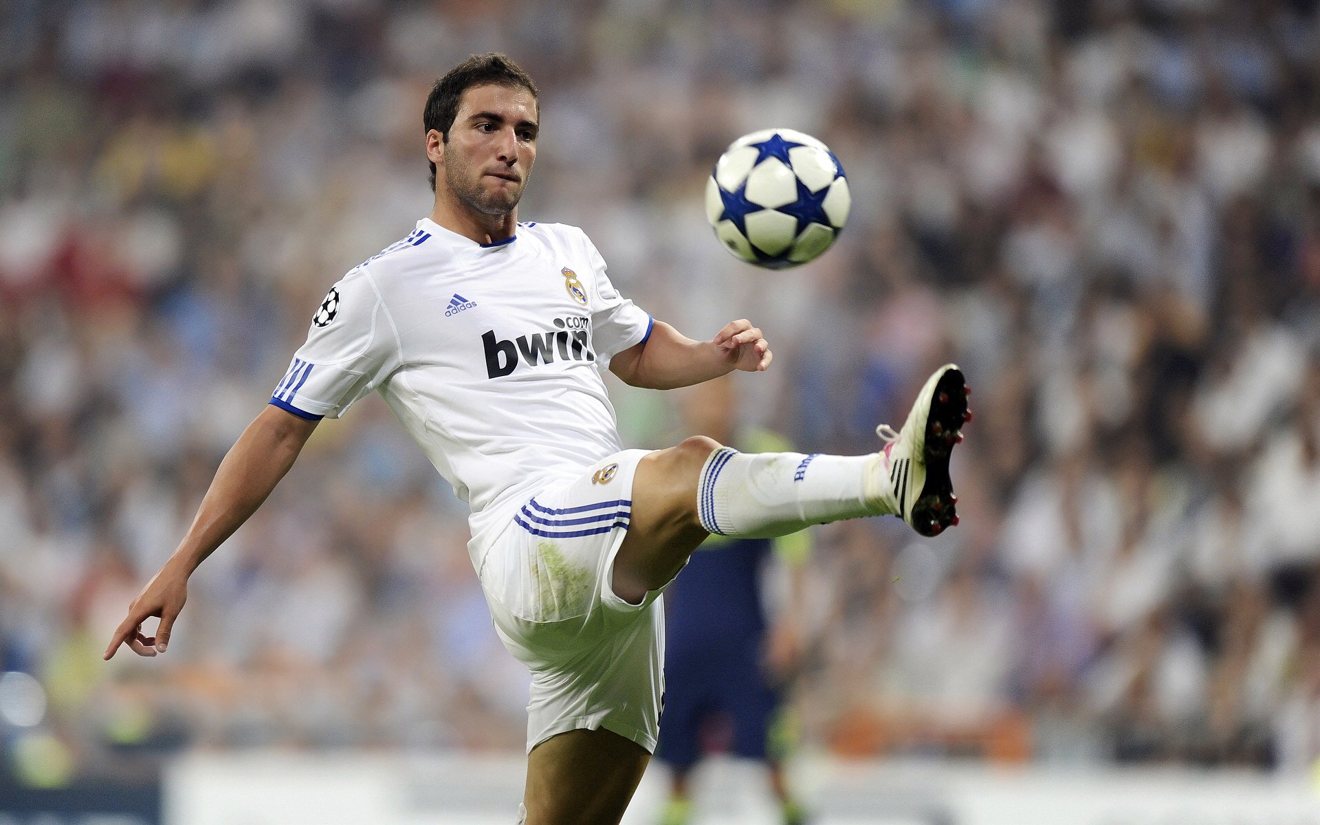 公牛队员相互鼓励强化比赛中沟通效果，公牛队怎么形容